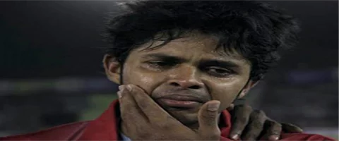 Troll Cricket